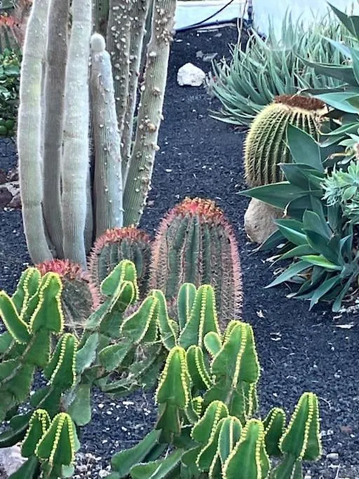 Casa Cactus Tenerife Arona 0*,  Spanyolország
