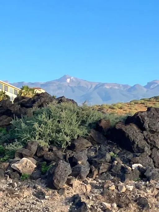 شقة Casa Cactus Tenerife أرونا إسبانيا